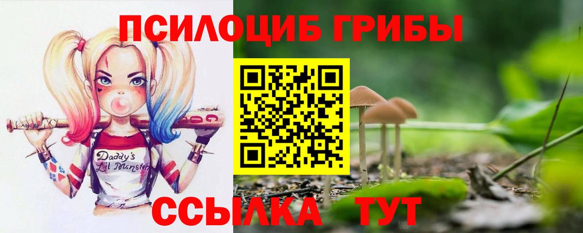 Галлюциногенные грибы Psilocybine cubensis  Вход с VPN  Кохма 