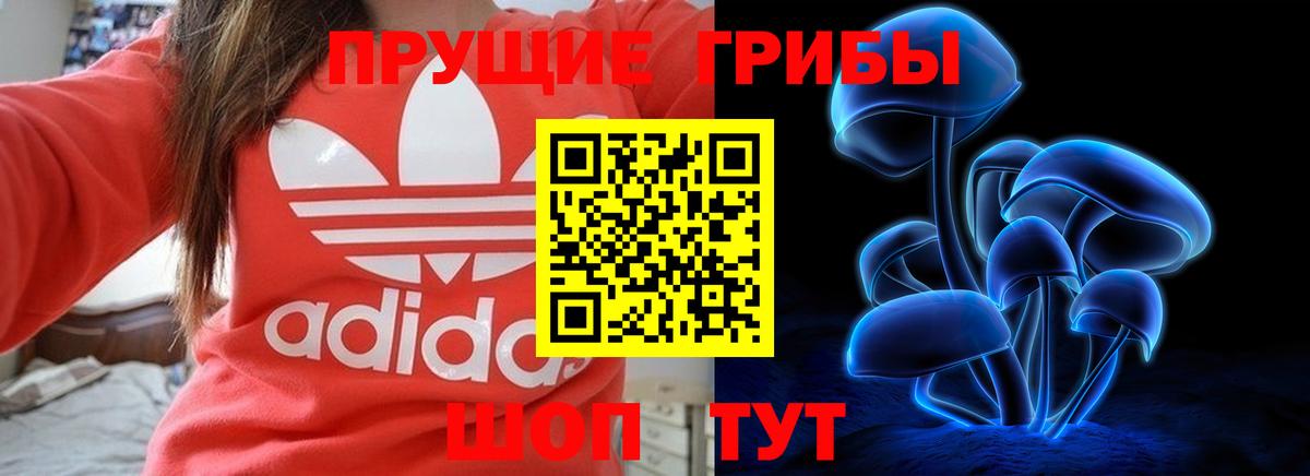 Псилоцибиновые грибы мухоморы Кохма